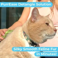 Pawtitas Organic Sheabutter & Oatmeal Cat Shampoo & Conditioner -Pawfect Care 173809 PT5. AC SS1800 V1682099731