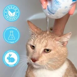 Pawtitas Organic Sheabutter & Oatmeal Cat Shampoo & Conditioner -Pawfect Care 173809 PT7. AC SS1800 V1682098352