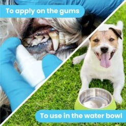 Pawtitas Fresh Mint Flavor Dog Dental Water Additive -Pawfect Care 173822 PT1. AC SS1800 V1617327508