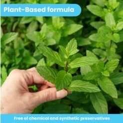 Pawtitas Fresh Mint Flavor Dog Dental Water Additive -Pawfect Care 173822 PT3. AC SS1800 V1558362119