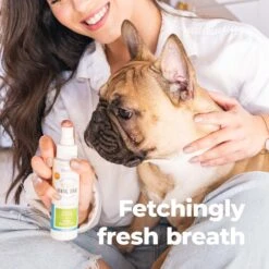 Oxyfresh Dog & Cat Dental Spray -Pawfect Care 173926 PT4. AC SS1800 V1675790567