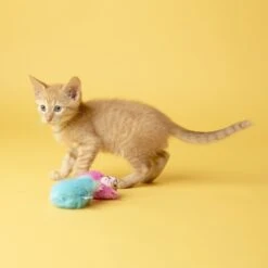 Fat Cat Classic Fluff Bunnies Cat Toy, Color Varies -Pawfect Care 174931 PT2. AC SS1800 V1602304880