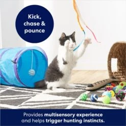 Frisco Plush, Teaser, Ball & Tri-Tunnel Variety Pack Cat Toy With Catnip, 20 Count 10 Frisco Plush, Teaser, Ball & Tri-Tunnel Variety Pack Cat Toy With Catnip, 20 Count -Pawfect Care 178161 PT3. AC SS1800 V1678723898