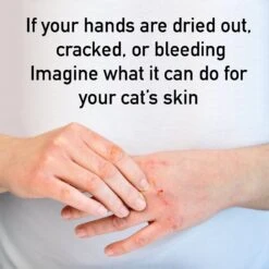 Hyponic Hypoallergenic Unscented Cat Shampoo -Pawfect Care 178666 PT5. AC SS1800 V1611700020