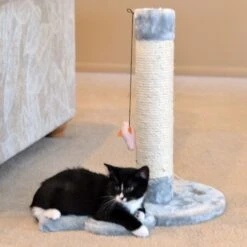 Armarkat 19-in Sisal Cat Scratching Post With Toy -Pawfect Care 179081 PT2. AC SS1800 V1678228287