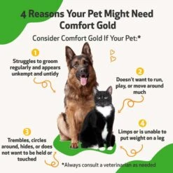 Pet Wellbeing Comfort GOLD For Occasional Discomfort For Cats & Dogs -Pawfect Care 180326 PT2. AC SS1800 V1695306525