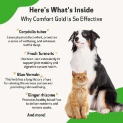 Pet Wellbeing Comfort GOLD For Occasional Discomfort For Cats & Dogs -Pawfect Care 180326 PT5. AC SS1800 V1695306525