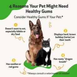 Pet Wellbeing Healthy Gums Liquid Dental Supplement For Cats & Dogs -Pawfect Care 180343 PT2. AC SS1800 V1694811629