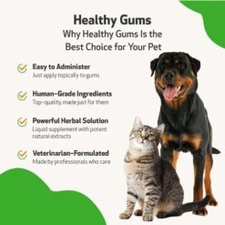 Pet Wellbeing Healthy Gums Liquid Dental Supplement For Cats & Dogs -Pawfect Care 180343 PT4. AC SS1800 V1694812051