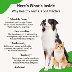 Pet Wellbeing Healthy Gums Liquid Dental Supplement For Cats & Dogs -Pawfect Care 180343 PT5. AC SS1800 V1694811626