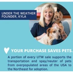 Under The Weather Calming Soft Chews Cat Supplement -Pawfect Care 180460 PT5. AC SS1800 V1618877557