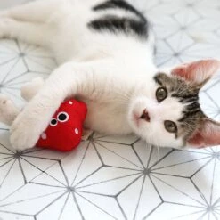 Mad Cat Magic Meowshroom Catnip & Silvervine Cat Toy -Pawfect Care 181804 PT3. AC SS1800 V1634833934