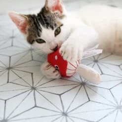 Mad Cat Magic Meowshroom Catnip & Silvervine Cat Toy -Pawfect Care 181804 PT4. AC SS1800 V1634833946