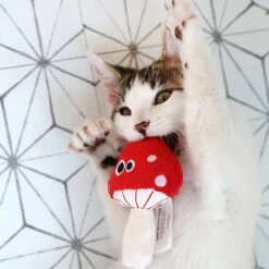 Mad Cat Magic Meowshroom Catnip & Silvervine Cat Toy -Pawfect Care 181804 PT5. AC SS1800 V1634833879