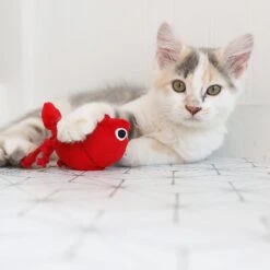 Mad Cat Pouncin' Prawn Catnip & Silvervine Cat Toy -Pawfect Care 181806 PT3. AC SS1800 V1637612207