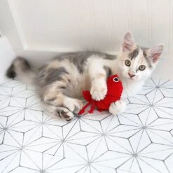 Mad Cat Pouncin' Prawn Catnip & Silvervine Cat Toy -Pawfect Care 181806 PT4. AC SS1800 V1637611895