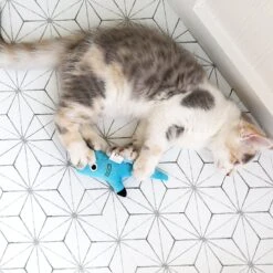 Mad Cat Shark Biter Catnip & Silvervine Cat Toy -Pawfect Care 181810 PT4. AC SS1800 V1637641585