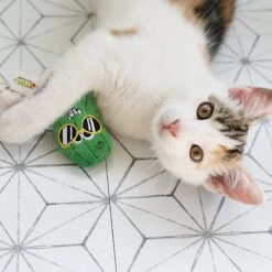 Mad Cat Cool Cucumber Catnip & Silvervine Cat Toy -Pawfect Care 181814 PT5. AC SS1800 V1637641598