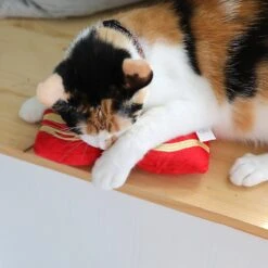 Mad Cat Big Bacon Kicker Catnip & Silvervine Cat Toy -Pawfect Care 181830 PT4. AC SS1800 V1637611115