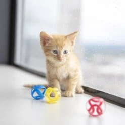 JW Pet Cat Crazies Cat Toy -Pawfect Care 182739 PT2. AC SS1800 V1602327670