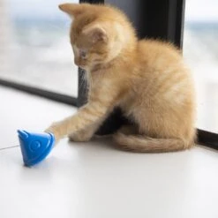 JW Pet Tumbler Cat Toy -Pawfect Care 182745 PT2. AC SS1800 V1602337883