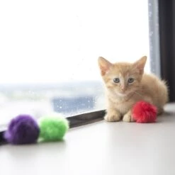 JW Pet Fun Fluffs Cat Toys, 3 Count -Pawfect Care 182747 PT2. AC SS1800 V1602307869