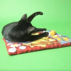 Fat Cat Big Mama's Makin' Biscuits Boogie Mat Cat Toy With Catnip -Pawfect Care 182767 PT2. AC SS1800 V1602315363