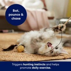 Frisco Sparkle Ball Teaser Wand Cat Toy With Catnip -Pawfect Care 183254 PT3. AC SS1800 V1695241915