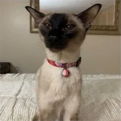 Necoichi Origami Balloon Cotton Breakaway Cat Collar With Bell -Pawfect Care 183493 PT6. AC SS1800 V1565879877