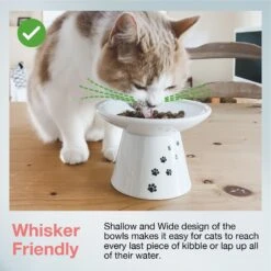 Necoichi Extra Wide Ceramic Elevated Cat Food Bowl, 2-cup -Pawfect Care 183502 PT2. AC SS1800 V1698867551