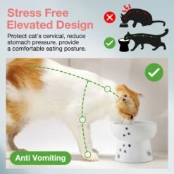 Necoichi Ceramic Elevated Cat Water Bowl -Pawfect Care 183505 PT3. AC SS1800 V1627495876