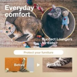 Necoichi Cozy Cat Scratcher Bowl Toy -Pawfect Care 183517 PT2. AC SS1800 V1702938888