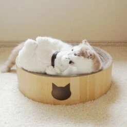 Necoichi Cozy Cat Scratcher Bowl Toy -Pawfect Care 183517 PT8. AC SS1800 V1702938859