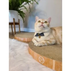 Necoichi Cozy Cat Scratcher Bowl Replacement Pad -Pawfect Care 183519 PT5. AC SS1800 V1647460001