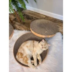 Necoichi Cozy Cat Scratcher Bowl Replacement Pad -Pawfect Care 183519 PT7. AC SS1800 V1647460899