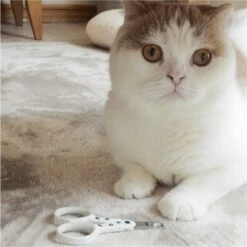 Necoichi Purrcision Cat Nail Clippers -Pawfect Care 183523 PT8. AC SS1800 V1675266503