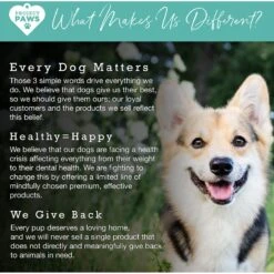 Project Paws Deodorizing Baking Soda Dog & Cat Shampoo -Pawfect Care 186818 PT6. AC SS1800 V1564428460