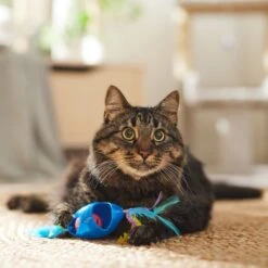 Ethical Pet Tie Dye Jingle Roller Cat Toy, Color Varies -Pawfect Care 189143 PT3. AC SS1800 V1682711091