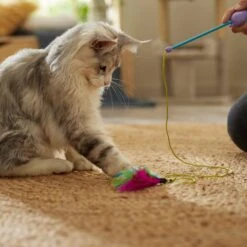 Ethical Pet Dolphin Laser Wand Cat Toy, Color Varies -Pawfect Care 189214 PT3. AC SS1800 V1686945794