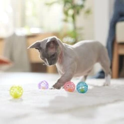 Ethical Pet Lattice Balls Plastic & Bell Cat Toy, Color Varies, 1.5-in, 4 Count -Pawfect Care 189284 PT3. AC SS1800 V1682711083