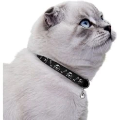 CollarDirect Skull Breakaway Buckle Cat Collar -Pawfect Care 190203 PT2. AC SS1800 V1565042576