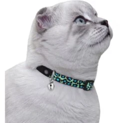 CollarDirect Leopard Breakaway Buckle Cat Collar -Pawfect Care 190206 PT2. AC SS1800 V1565042577