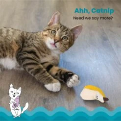 Catstages Dental Banana Cat Chew Toy With Catnip -Pawfect Care 190721 PT2. AC SS1800 V1631682722