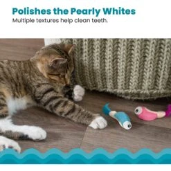 Catstages Dental Shrimpies Cat Chew Toy With Catnip, 2 Count -Pawfect Care 190723 PT3. AC SS1800 V1636500155