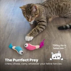 Catstages Dental Shrimpies Cat Chew Toy With Catnip, 2 Count -Pawfect Care 190723 PT5. AC SS1800 V1636518222