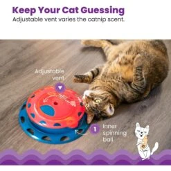 Catstages Chase Track Cat Toy With Catnip -Pawfect Care 190739 PT3. AC SS1800 V1631687240
