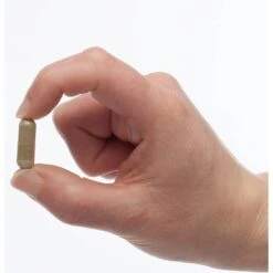 PetAlive Gumz-n-Teeth Gum & Teeth Health Dog & Cat Supplement, 60 Count -Pawfect Care 191121 PT2. AC SS1800 V1628717502