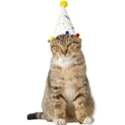 Frisco Confetti Dog & Cat Birthday Hat -Pawfect Care 191274 PT2. AC SS1800 V1582053206