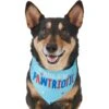 Frisco Pawtriot Dog & Cat Bandana -Pawfect Care 191277 Main. AC SS1800 V1584623866