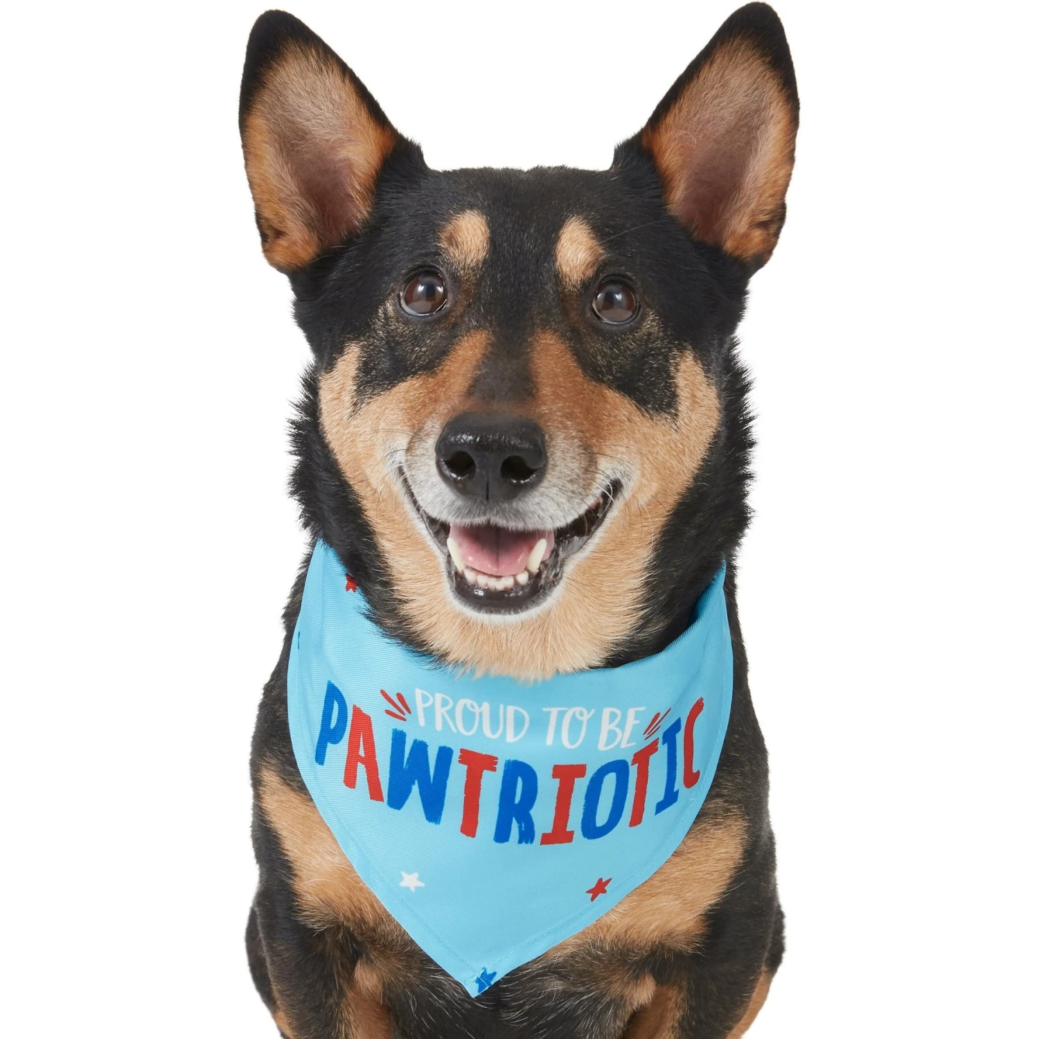 Frisco Pawtriot Dog & Cat Bandana 3 Frisco Pawtriot Dog & Cat Bandana